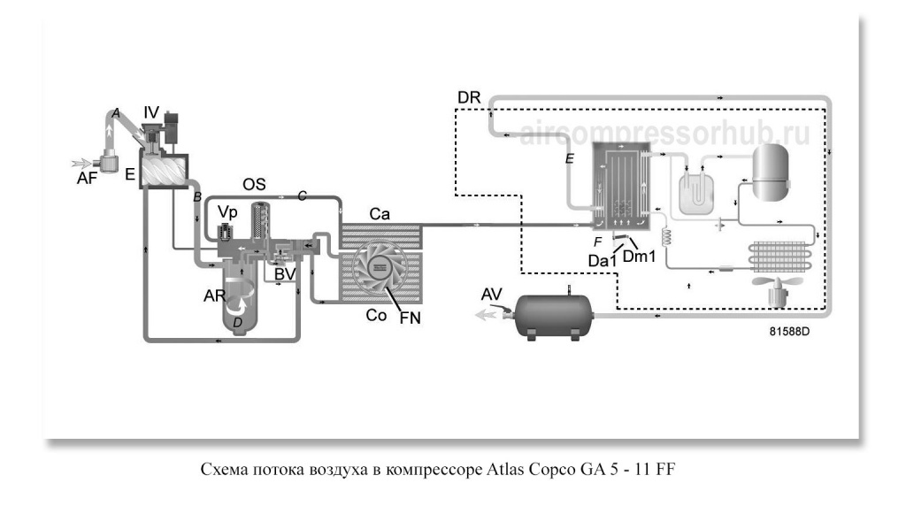 Схема потока воздуха в воздушном винтовом компрессоре Atlas Copco GA 5 - 11 FF, со встроенным осушителем.